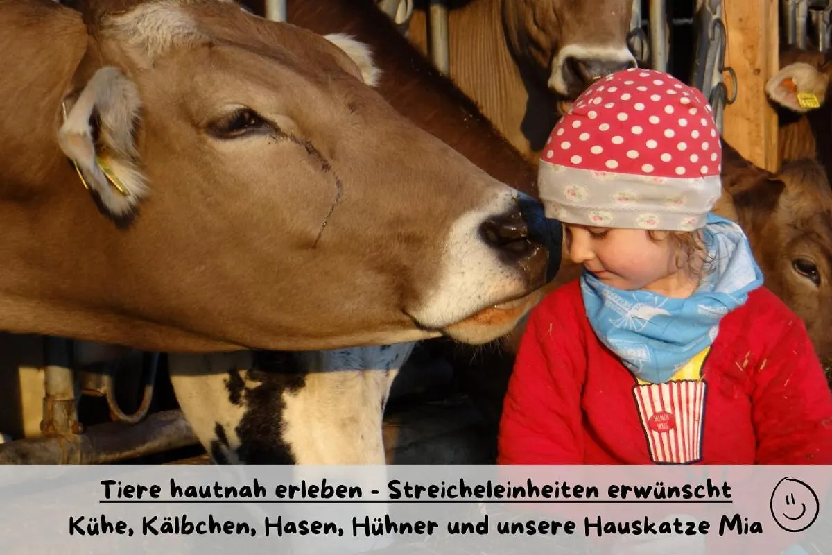 Ferienhof Herz Rettenberg Farm stay